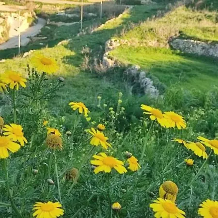 Ir Razzett Ta Elias Traditional 4 Bedroom Gozitan With Private Pool, En-suite Bathrooms Bbq In וילה Għarb